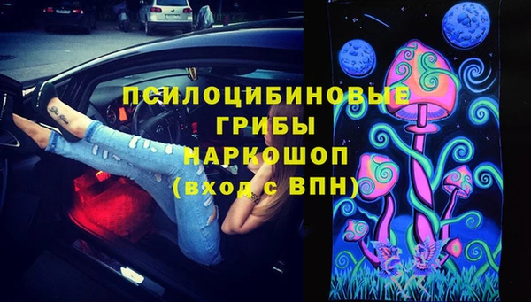 PSILOCYBIN Краснотурьинск