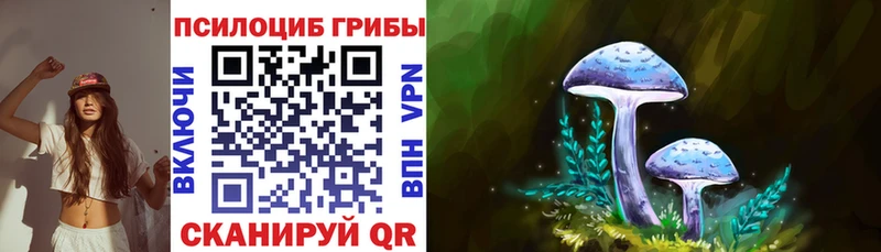 Галлюциногенные грибы Cubensis  Хилок 